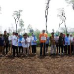 Penanaman kedelai di Gunungkidul