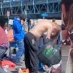 Mengenal Xylazine Atau Tranq, Narkoba Zombie yang Sebenarnya Obat Penenang Hewan Ternak.