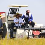 Menteri Pertanian Syahrul Yasin Limpo