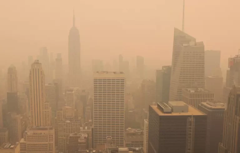 Asap kebakaran hutan di Kanada cemari udara di wilayah Amerika Serikat.