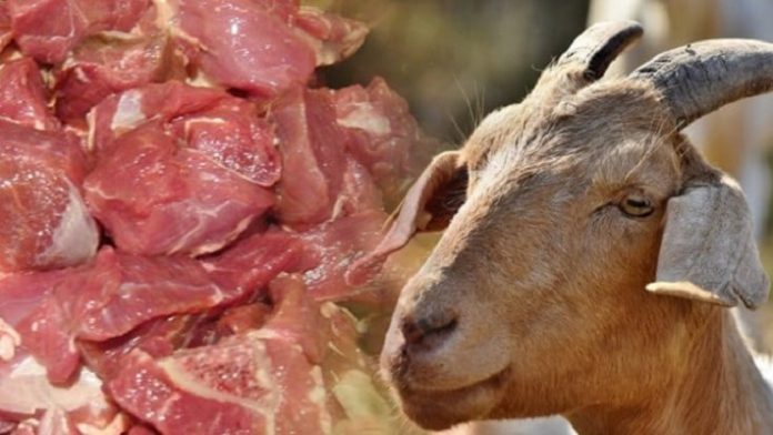 Cara Hilangkan Bau Daging Kurban Kambing