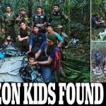 Ajaib, 4 Anak Ditemukan di Hutan Amazon Pasca 5 Minggu Kecelakaan Pesawat