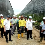 Menteri PUPR Basuki Hadimuljono telah menyiapkan 52 ribu pohon untuk ditanam di koridor jalan tol Ibu Kota Nusantara (IKN).