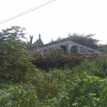 Kondisi Bekas Pasar Kedungmaling Mojokerto Tidak Terurus