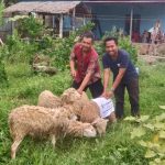 Theo Sinulingga Kurban Kambing