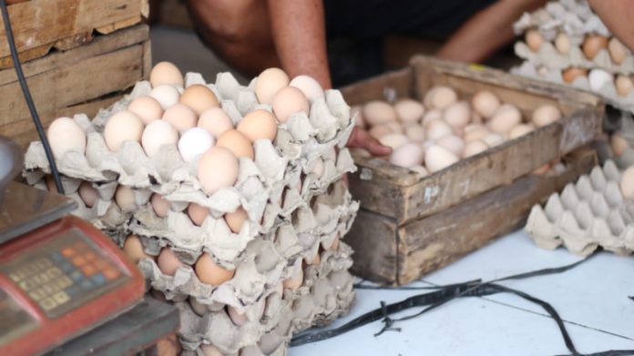 Subsidi Dicabut, Pemkot Mojokerto Tak lagi Subsidi Ongkir Telur