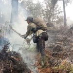 Kebakaran hutan di lereng sebelah utara Gunung Welirang bulan lalu. (Foto : dok. Tahura)