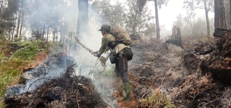 Kemarau Panjang, Posko Penanganan Kebakaran Hutan dan Lahan di Mojokerto Bakal diaktifkan Dalam Wilayah Zona Merah