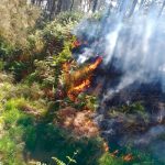 Kebakaran hutan di lereng sebelah utara Gunung Welirang bulan lalu. (Foto : dok. Tahura)