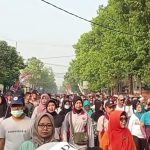 WhatsApp Image 2023-06-18 at 12.08.42