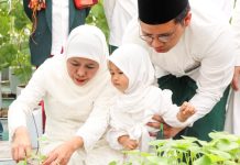 Gubernur Khofifah Ajak Cucu Tanam Dan Panen Golden Melon di Green House Masjid Al Akbar Usai Sholat Iedul Adha