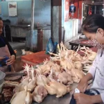 ilustrasi pedagang ayam