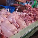 ilustrasi pedagang ayam