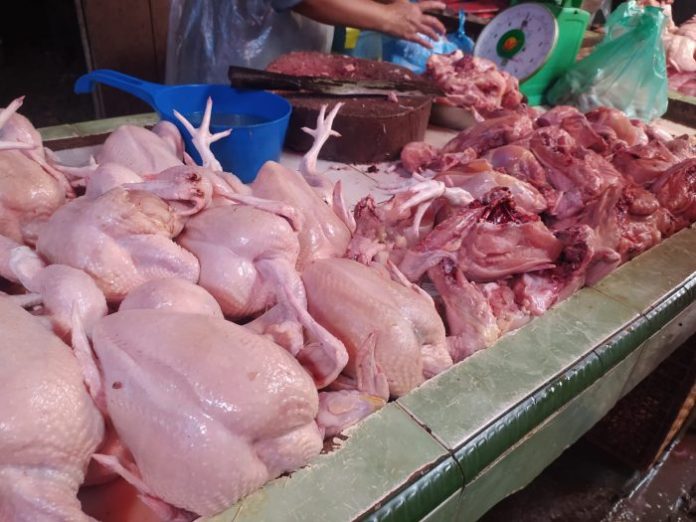 ilustrasi pedagang ayam