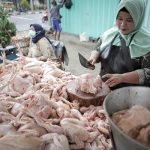 Harga Daging Ayam Naik Terus, Apa Penyebabnya
