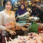 Harga Daging Ayam Naik Terus, Kelangkaan Ayam Jadi Alasan.