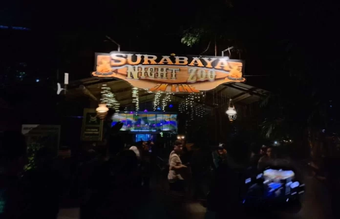 Surabaya Night Zoo