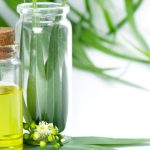 ilustrasi minyak kayu putih