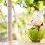 ilustrasi air kelapa