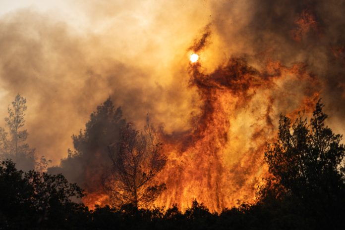 Kebakaran hutan melalap pepohonan di Agia Sotira, pinggiran barat Athena, Yunani, pada 20 Juli 2023. Selama empat hari berturut-turut, kebakaran hutan terus melalap rumah-rumah dan hutan di bagian barat Athena, Yunani.
