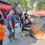 Bagi Ratusan Ribu Paket Kurban ke Masyarakat Jatim, Ketua PKS Jatim: Ini Pengejawantahan Visi Partai