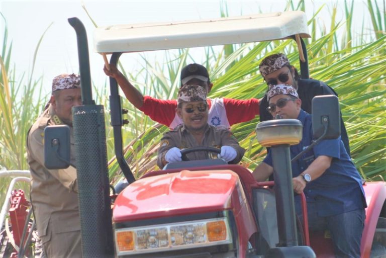 Menteri Pertanian (Mentan) Syahrul Yasin Limpo