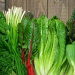 ilustrasi sayuran hijau