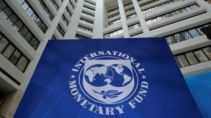 IMF Minta Jokowi Hapus Hilirisasi