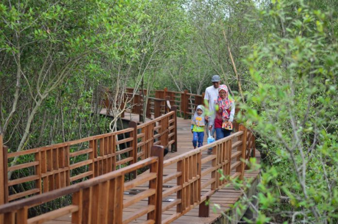 Kebun Raya Mangrove Surabaya