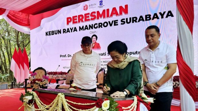 Megawati Soekarnoputri meresmikan Kebun Raya Mangrove Surabaya, di kawasan Gunung Anyar, Jawa Timur (26/7/2023)