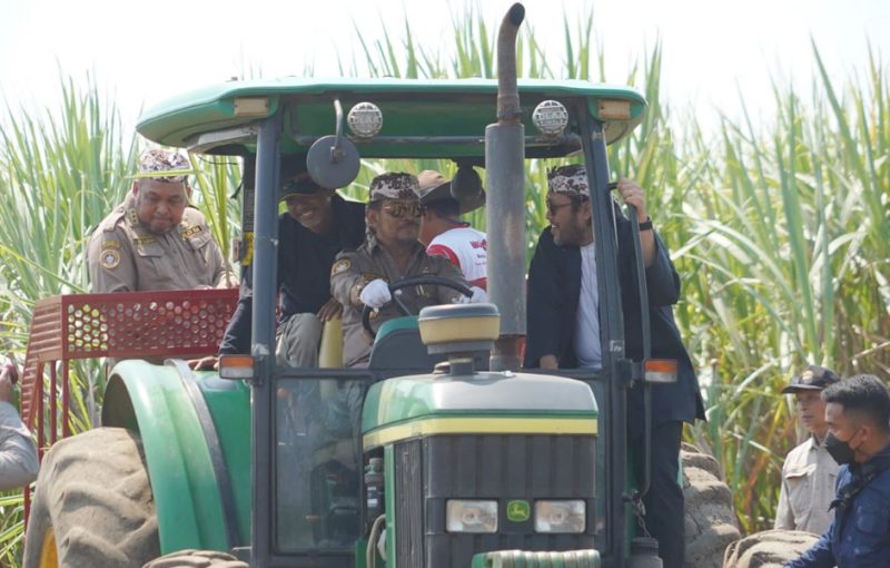 Menteri Pertanian (Mentan) Syahrul Yasin Limpo