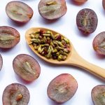 ilustrasi buah anggur