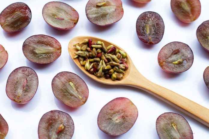 ilustrasi buah anggur