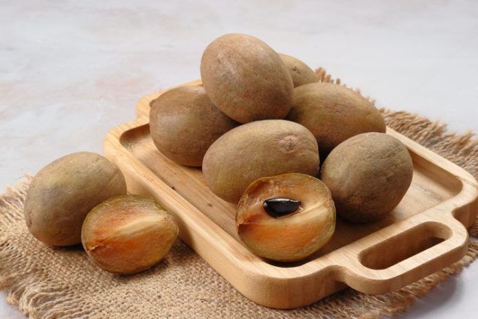 buah sawo