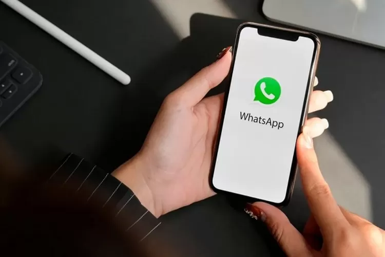 WhatsApp Versi Beta Terbaru Kenalkan Avatar Animasi