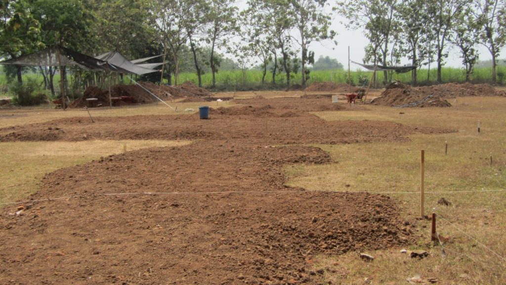 Eskavasi situs Bhre Kahuripan di Kecamatan Sooko, Kabupaten Mojokerto. (Foto : Fio Atmaja)