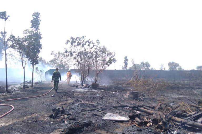 Kebakaran Lahan Belakang SMKN 1 Mojoanyar Mojokerto