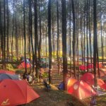 Glamping Trawas