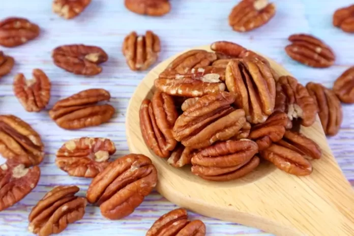 ilustrasi kacang pecan