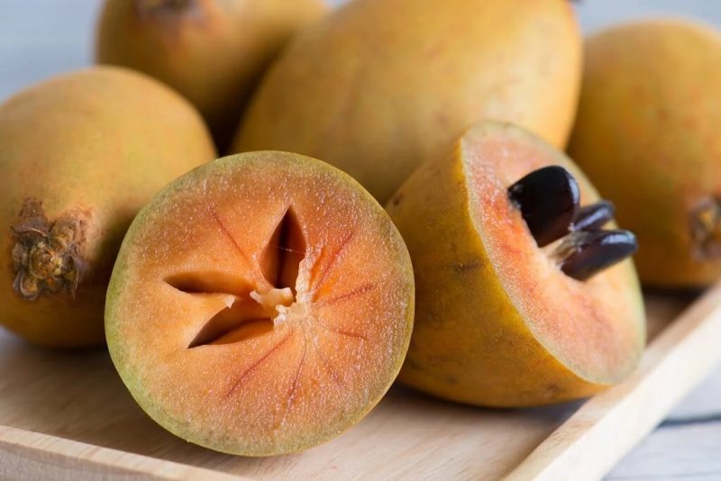buah sawo