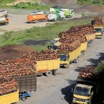 China Borong Minyak Sawit Indonesia, Ekspor CPO RI Konsisten Naik