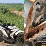Viral Rangka Motor Honda Beat-Vario Karatan dan Patah, AHM Beri Penjelasan