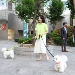 korea selatan daging anjing