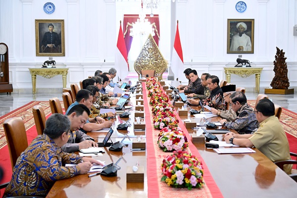 Pemerintah Tetapkan Alternatif Penyelesaian Hukum bagi Pelanggar Pemanfaatan Lahan Sawit