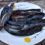 3e3b0c83-7b28-4900-9759-7ab8b44c-20221004095309