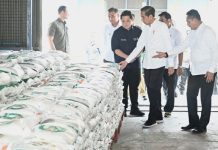 Presiden Jokowi Tinjau Ketersediaan Stok CBP