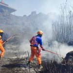 kebakaran gunung ijen