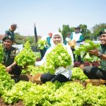 Gubernur Khofifah bersama Pangdivif 2 Kostrad Malang lakukan Penanaman 10 ribu Pohon  Holtikultura