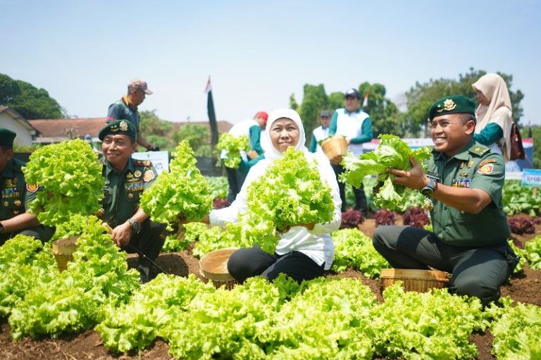 Gubernur Khofifah dan Pangdivif 2 Kostrad Malang lakukan Penanaman 10 ribu Pohon  Holtikultura