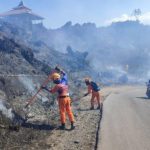 kebakaran gunung ijen